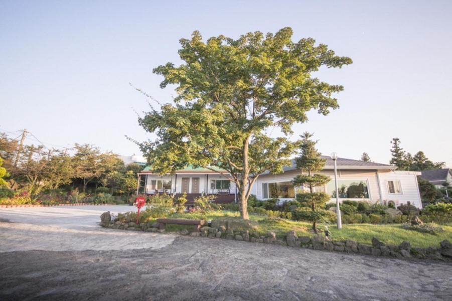 Sunyang Village Pension Jeju Luaran gambar